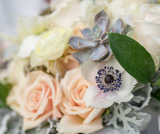 DSC_8957